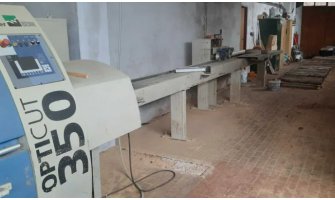 Линия оптимизации Weinig Dimter OptiCut 350